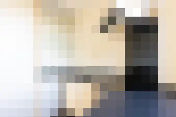 Noordwal 37 Huizen thumbnail 9