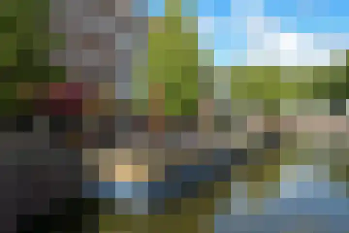 Noordwal 45 Den Haag thumbnail 47