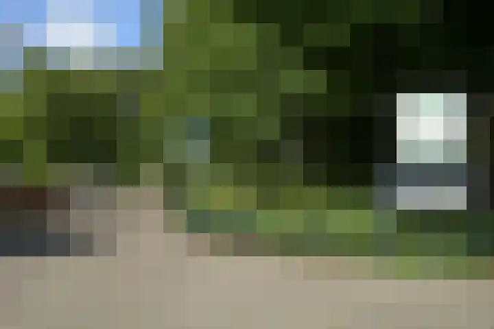 Noordwal 45 Den Haag thumbnail 49