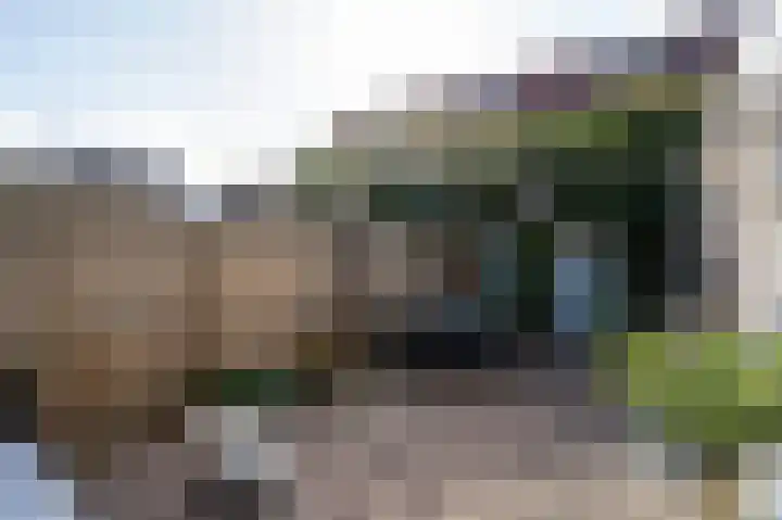 Noordwal 53 Leerdam thumbnail 4