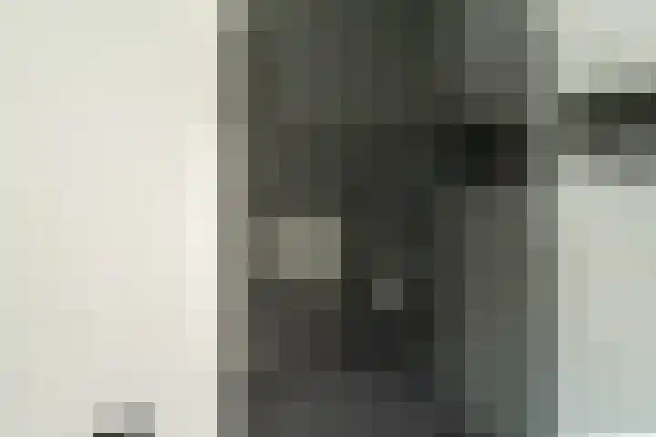 Noordwal 54 b Leerdam thumbnail 13
