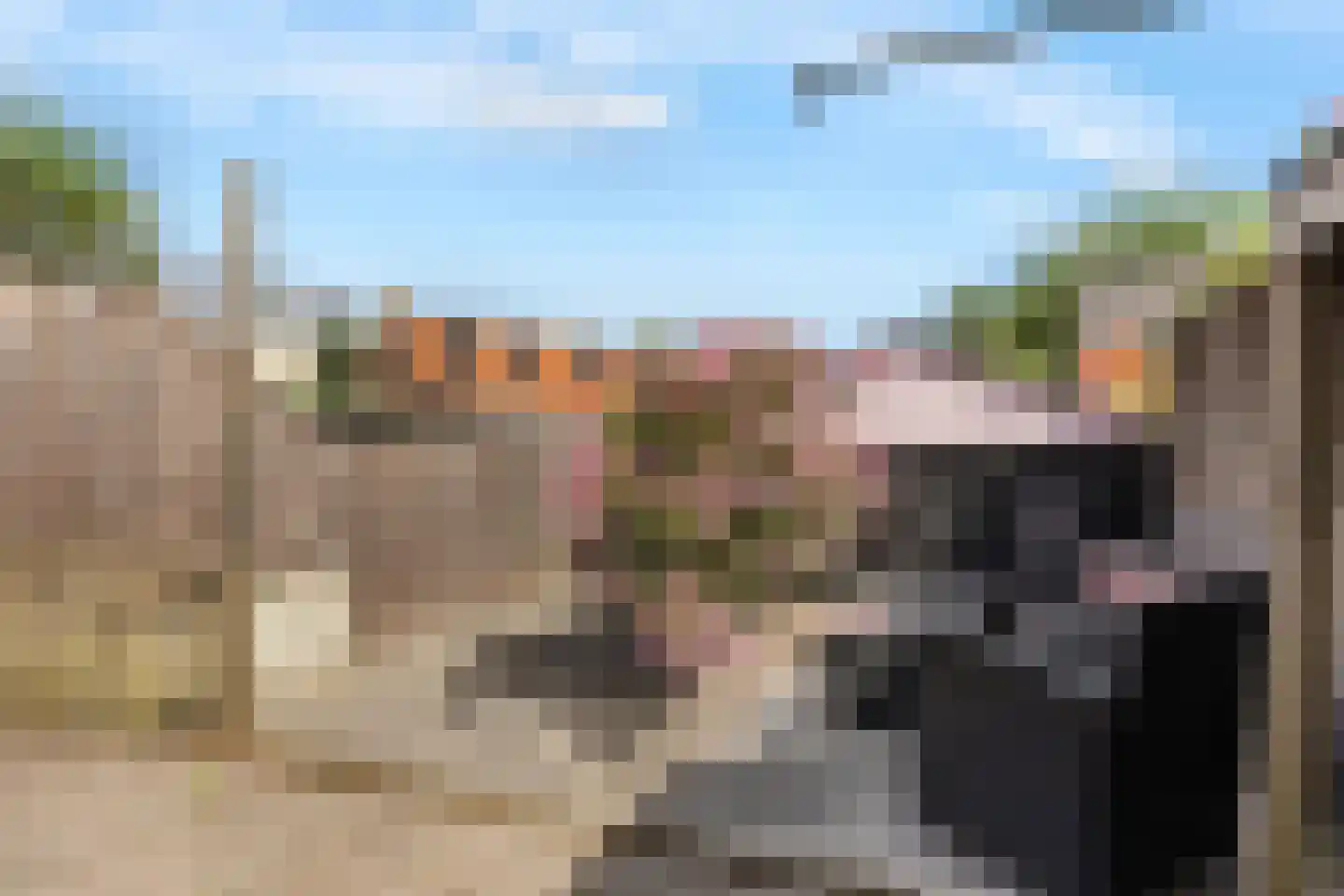 Noordwal 6 Oostburg thumbnail 29