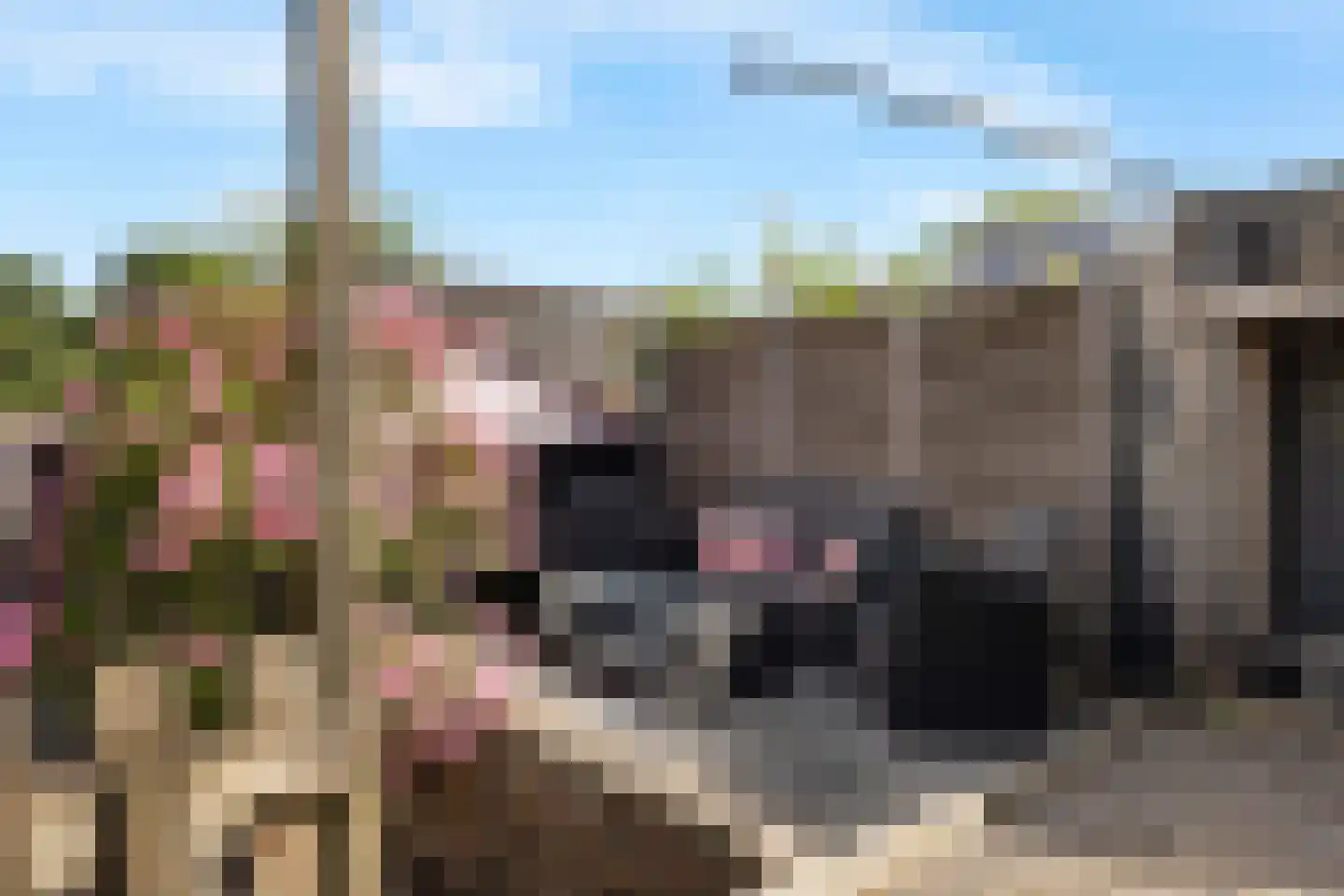 Noordwal 6 Oostburg thumbnail 30