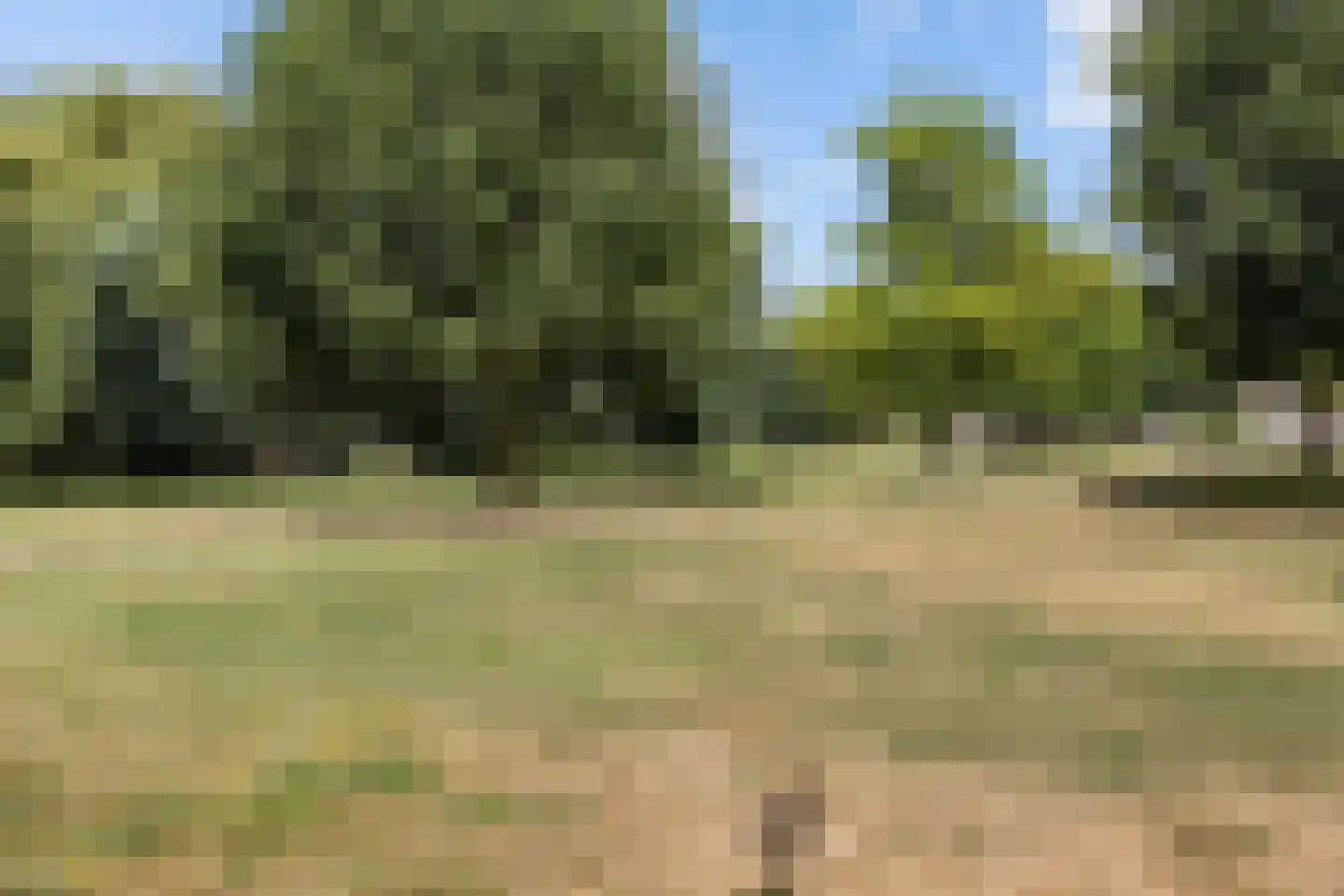 Noordwal 6 Oostburg thumbnail 37