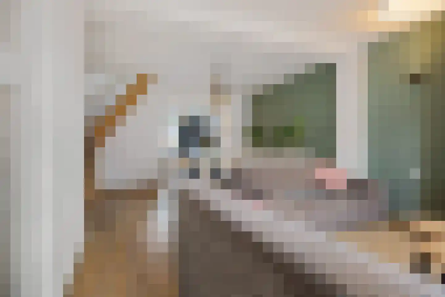 Noordwal 6 Oostburg thumbnail 5
