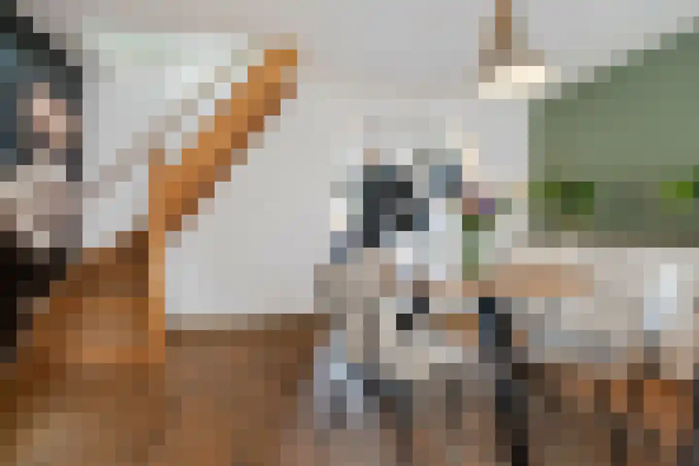 Noordwal 6 Oostburg thumbnail 8