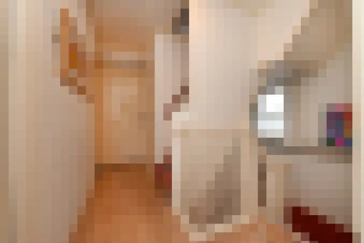 Noordwal 6 Steenbergen thumbnail 18