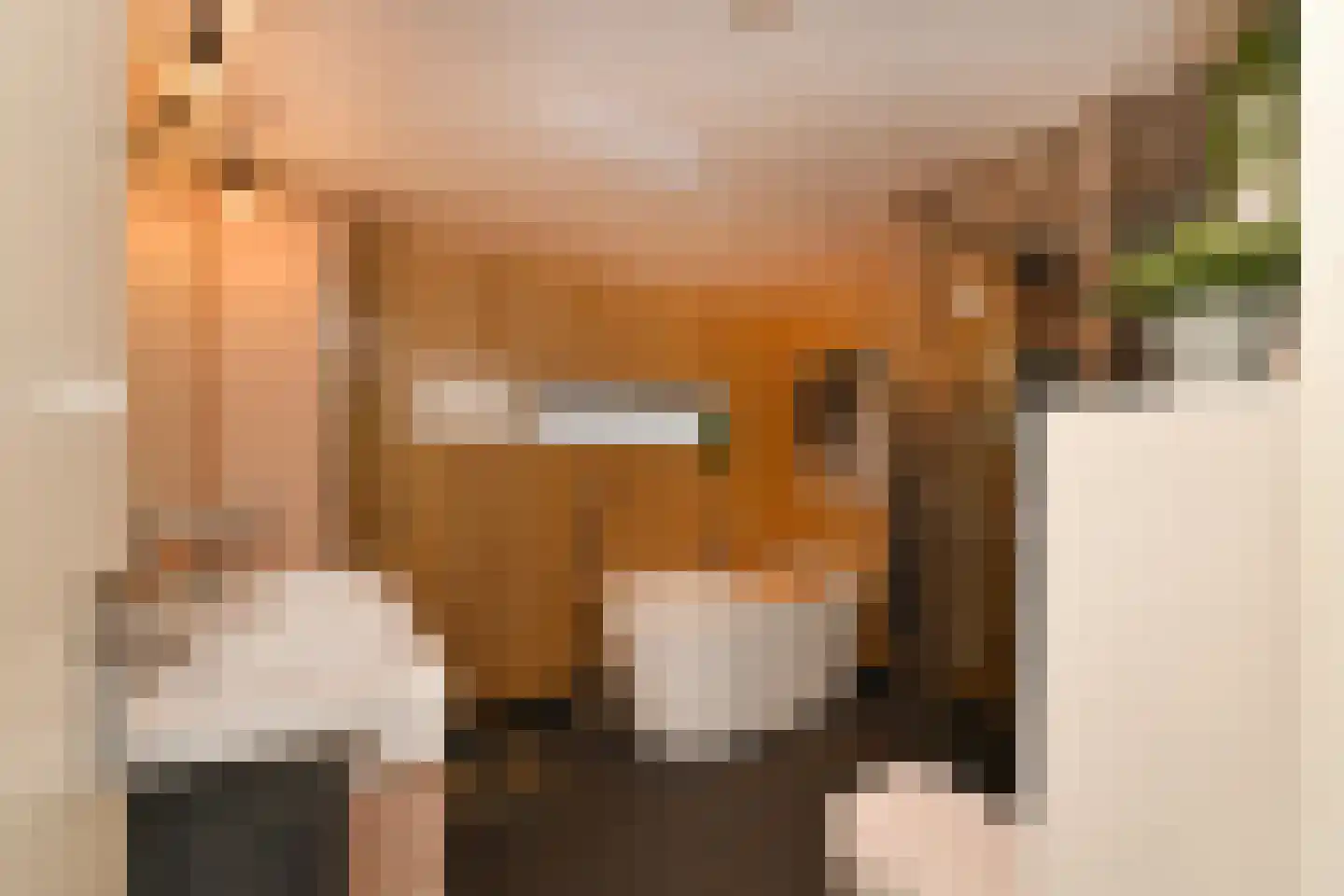 Noordwal 6 Steenbergen thumbnail 21