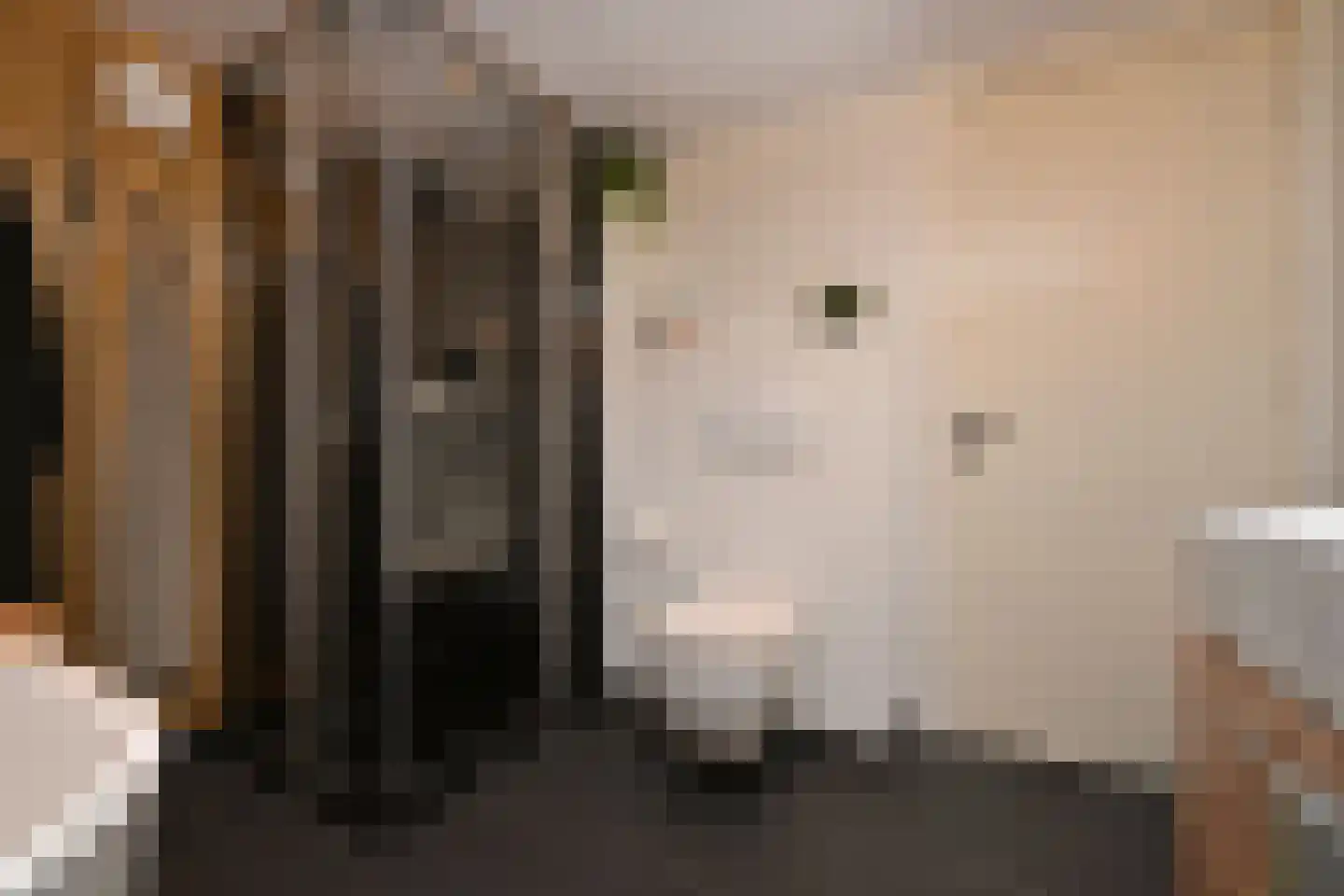 Noordwal 6 Steenbergen thumbnail 22