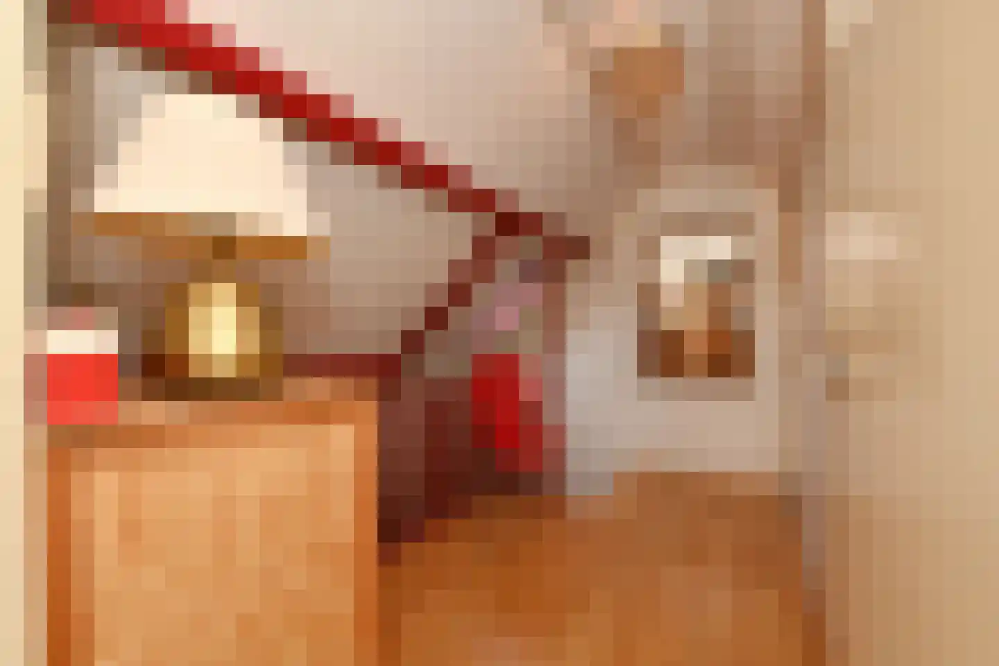 Noordwal 6 Steenbergen thumbnail 24