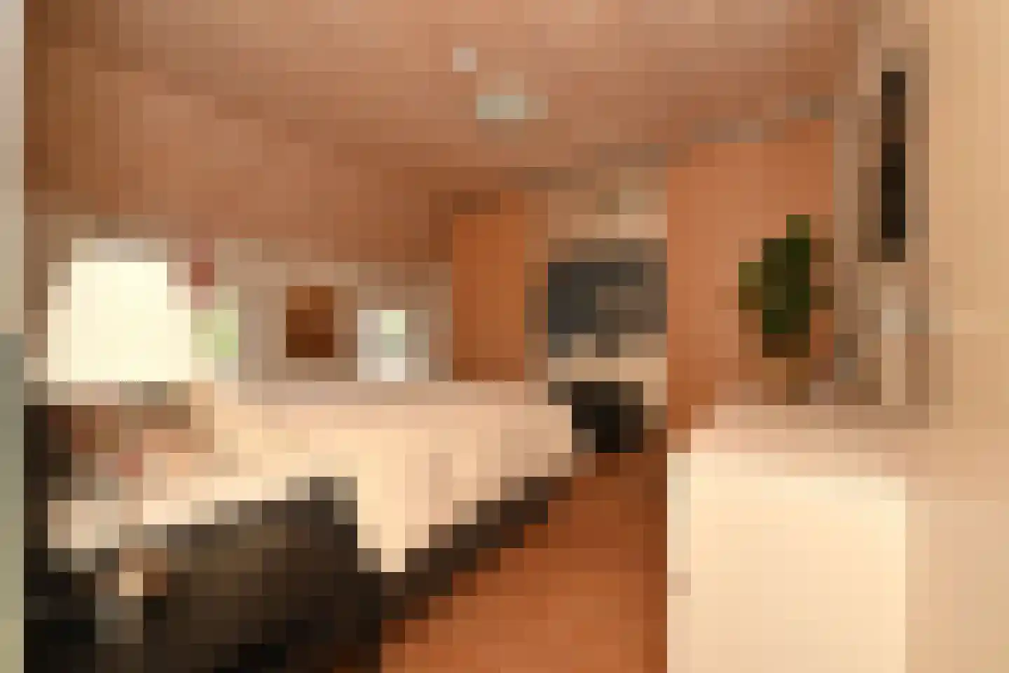 Noordwal 6 Steenbergen thumbnail 26