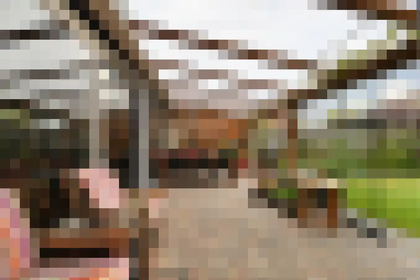 Noordwal 6 Steenbergen thumbnail 30