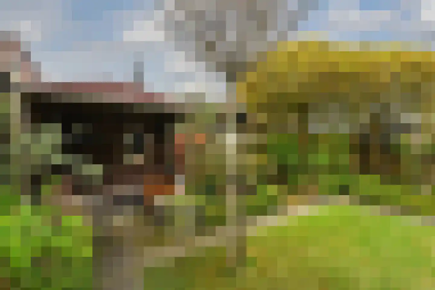 Noordwal 6 Steenbergen thumbnail 32