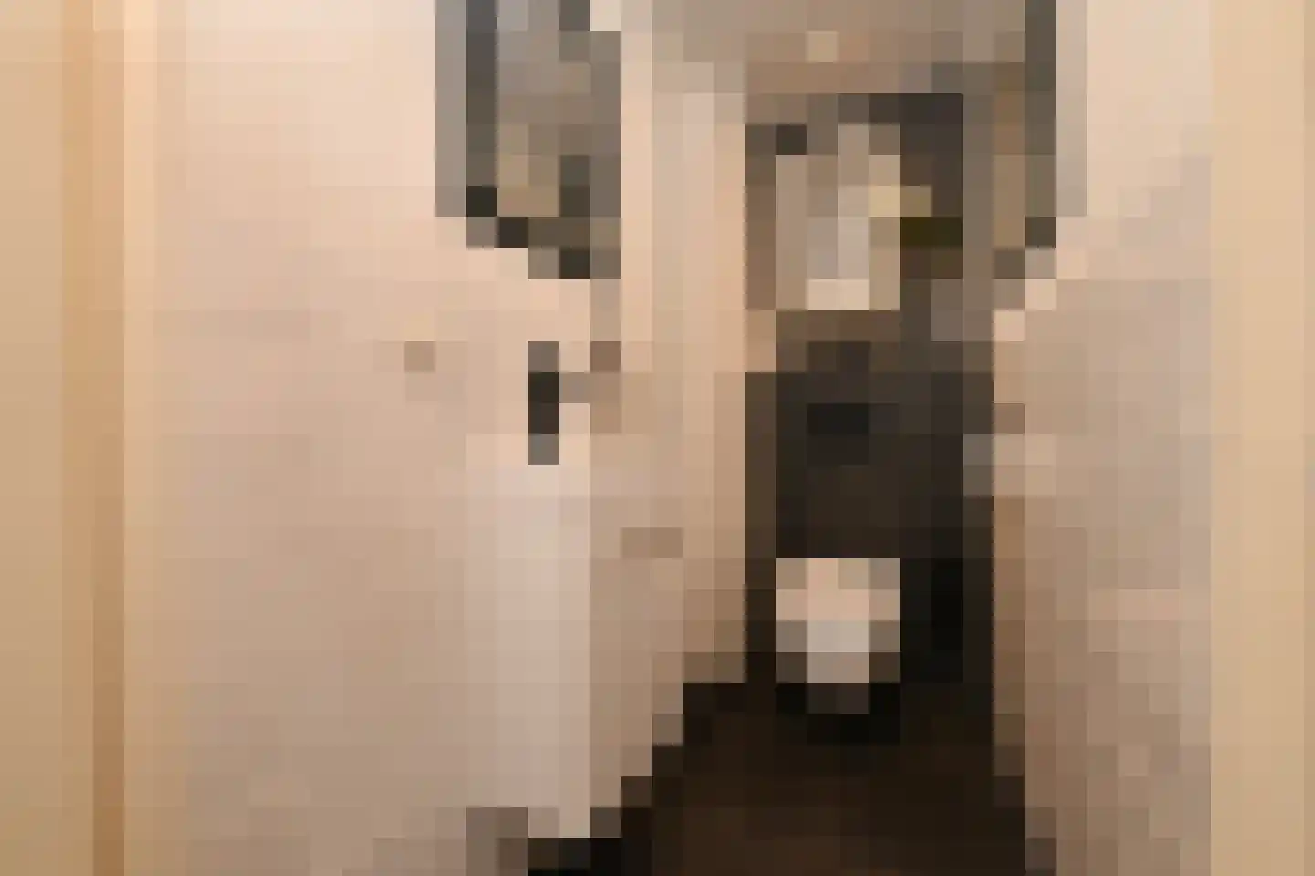 Noordwal 6 Steenbergen thumbnail 6
