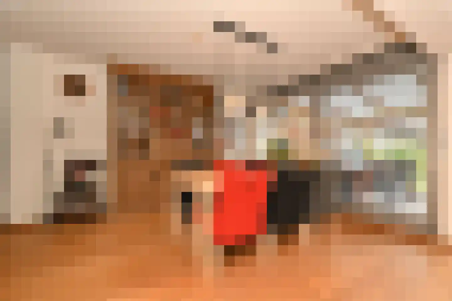Noordwal 6 Steenbergen thumbnail 7