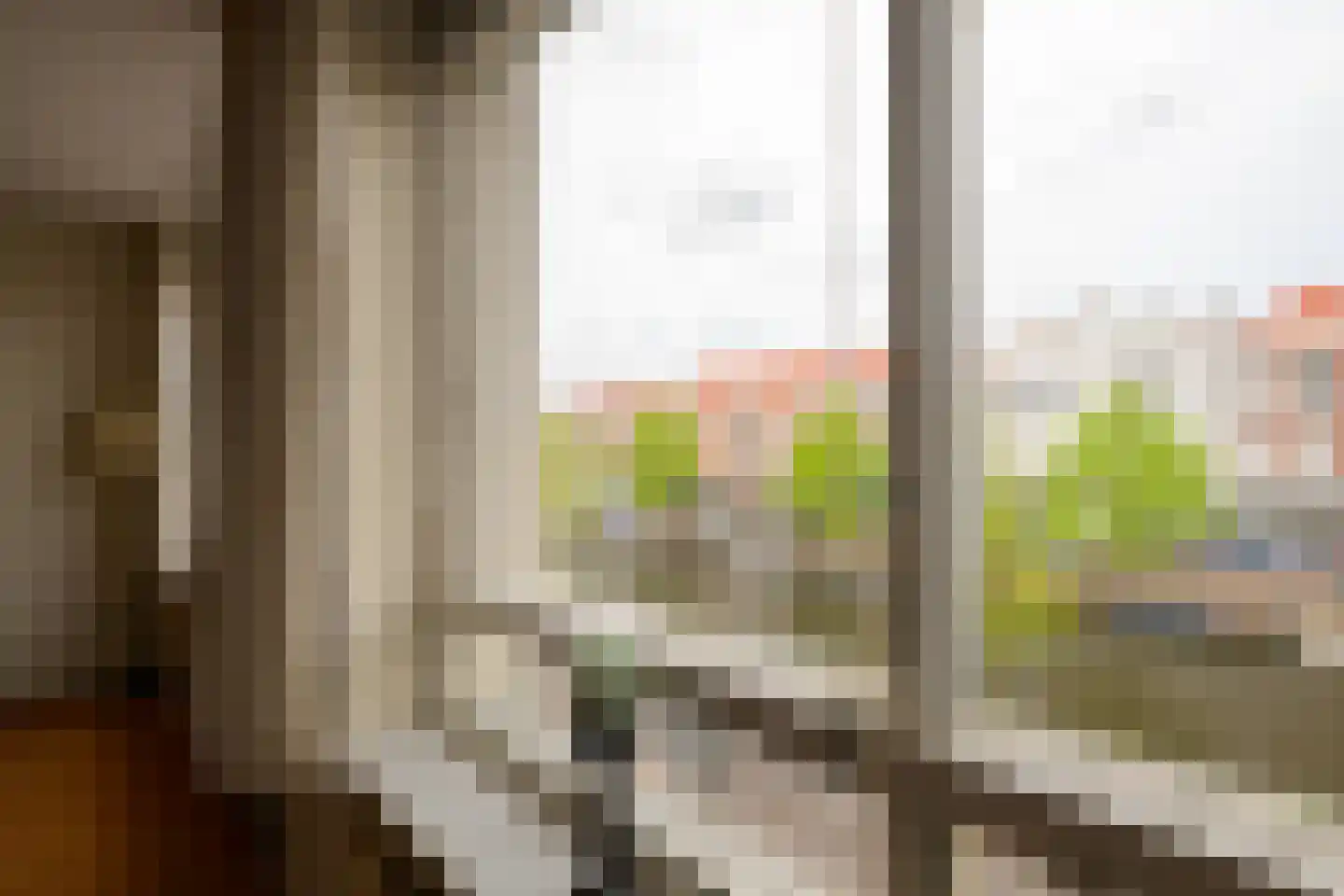 Noordwal 61 Den Haag thumbnail 17