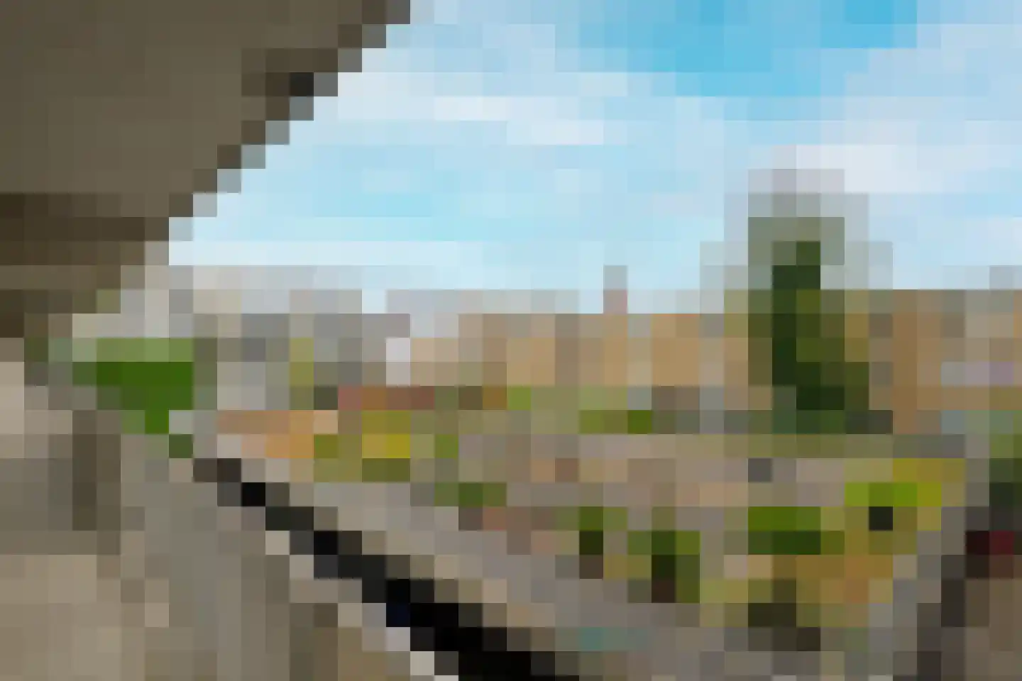 Noordwal 61 Den Haag thumbnail 9