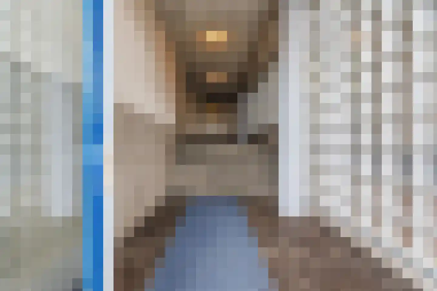 Noordwal 67 Den Haag thumbnail 6