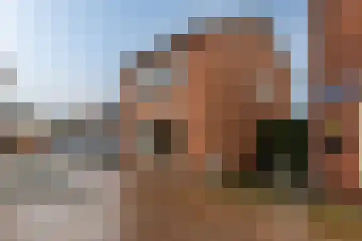 Noordwal 82 Delden thumbnail 29