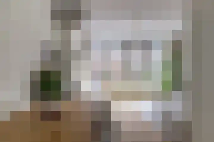Noordwal 83 a Leerdam thumbnail 10