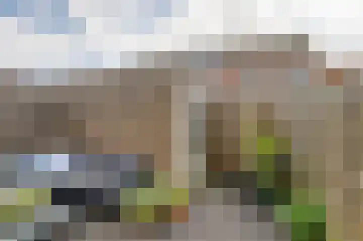Noordwal 83 a Leerdam thumbnail 36
