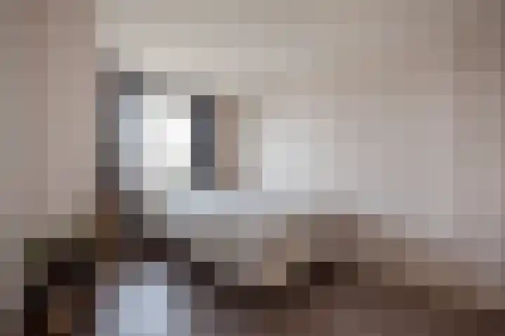 Noordwal 90 Den Haag thumbnail 18