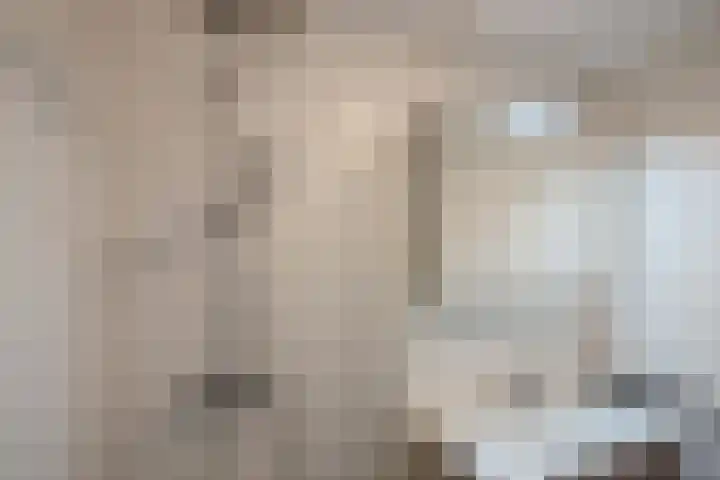 Noordwal 90 Den Haag thumbnail 22