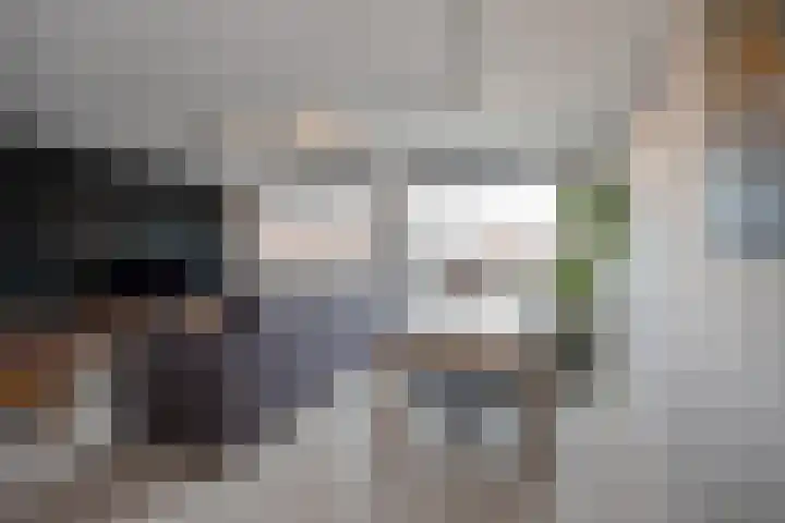 Noordwal 90 Den Haag thumbnail 5