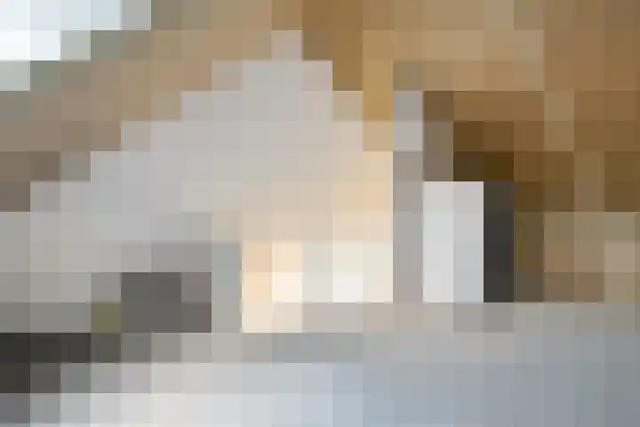 Noordwalstraat 21 Den Oever thumbnail 32