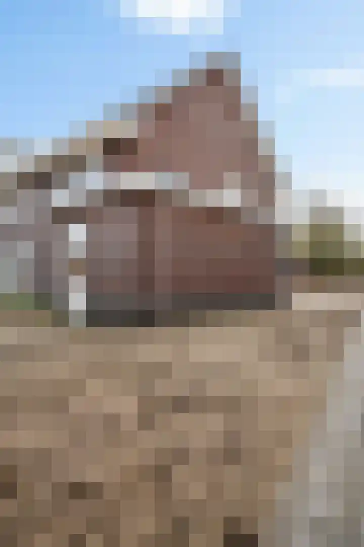 Noordwalstraat 21 Den Oever thumbnail 35