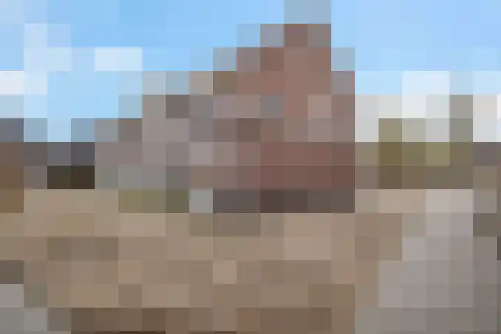 Noordwalstraat 21 Den Oever thumbnail 38