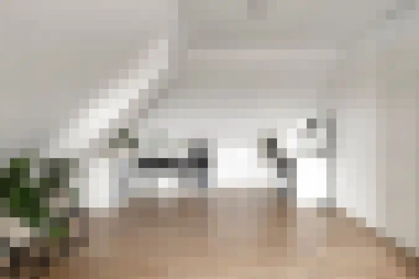 Noordweegseweg 4 's-Heer Arendskerke thumbnail 24