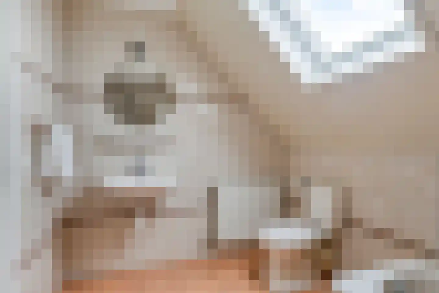 Noordweegseweg 4 's-Heer Arendskerke thumbnail 26