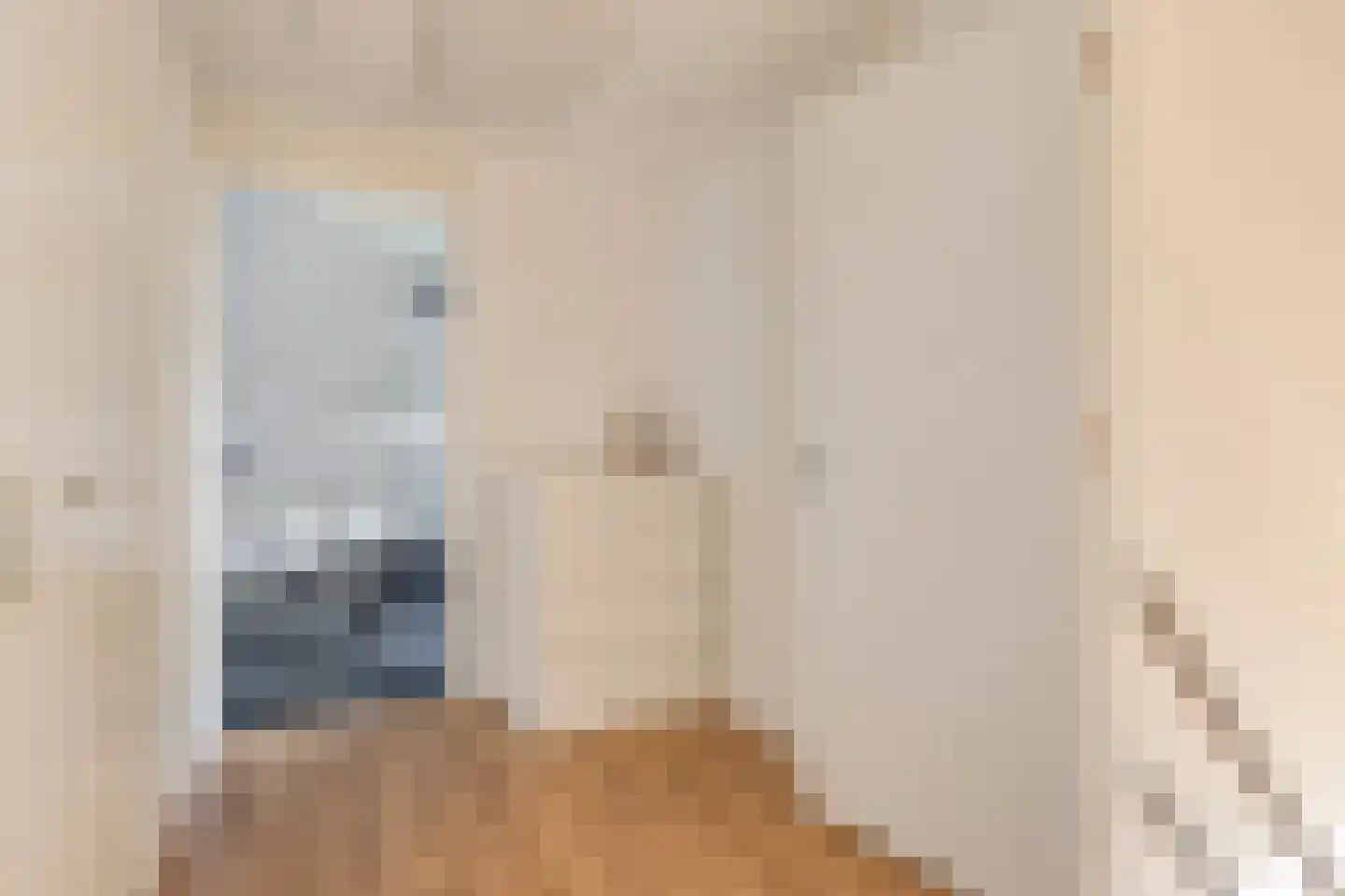 Noordweegseweg 4 's-Heer Arendskerke thumbnail 27
