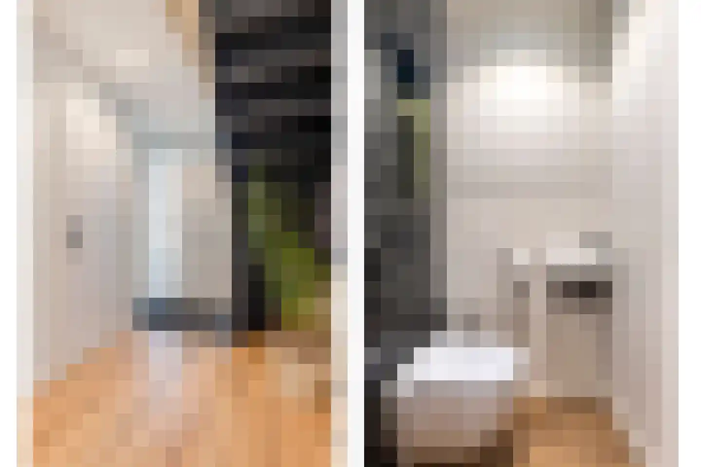 Noordweegseweg 4 's-Heer Arendskerke thumbnail 8