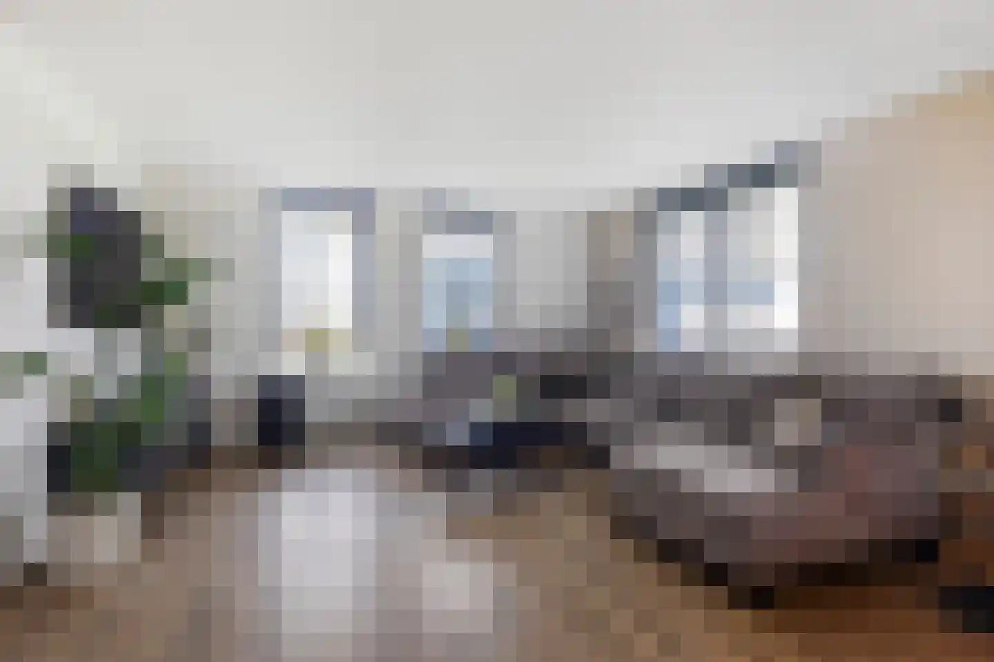 Noordweegseweg 4 's-Heer Arendskerke thumbnail 9