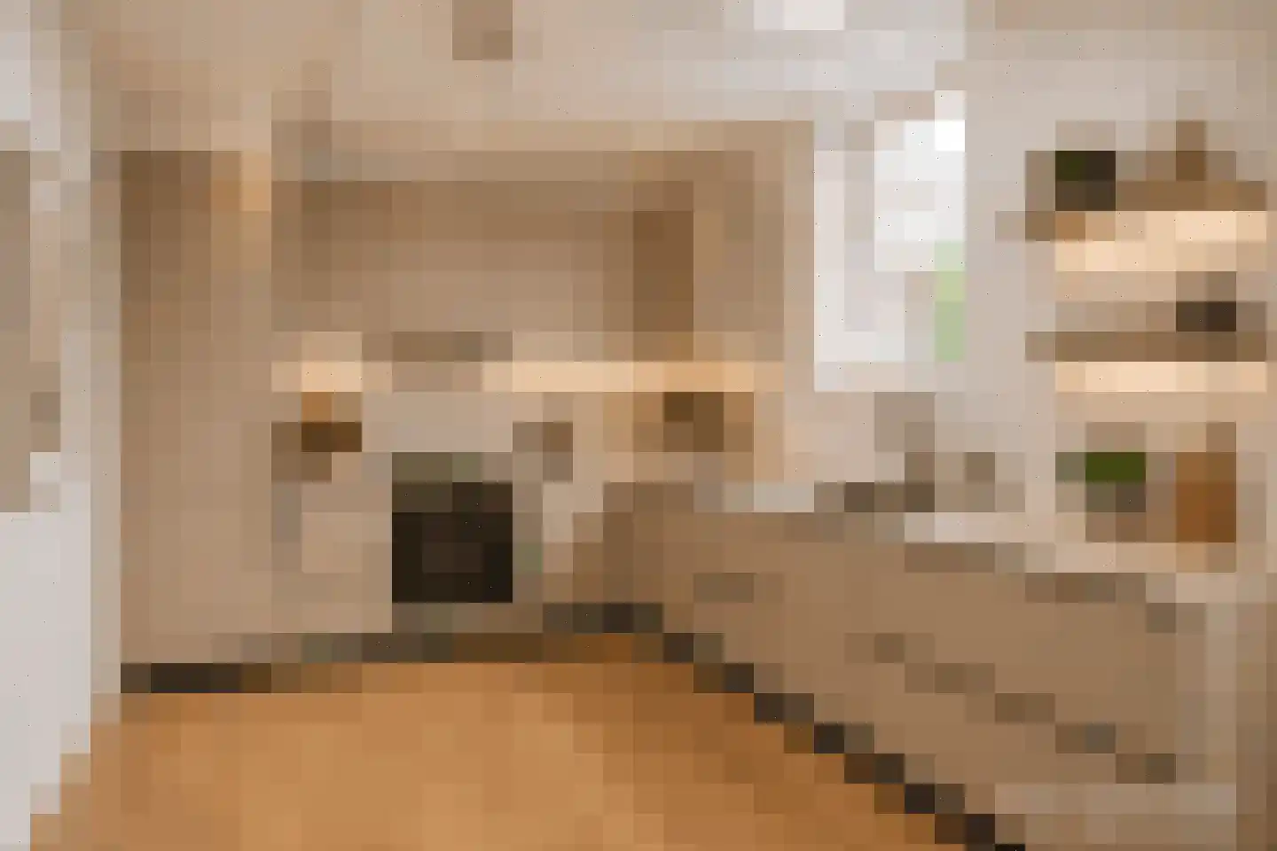 Noordweg 1 a Pijnacker thumbnail 11