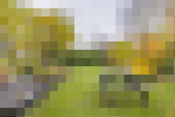 Noordweg 101 Middelburg thumbnail 25