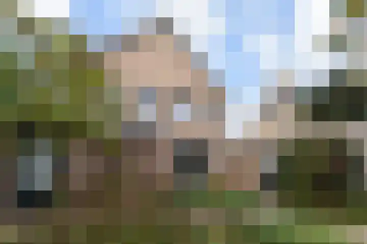 Noordweg 102 Pijnacker thumbnail 4