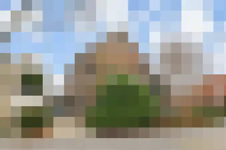 Noordweg 102 Pijnacker thumbnail 5