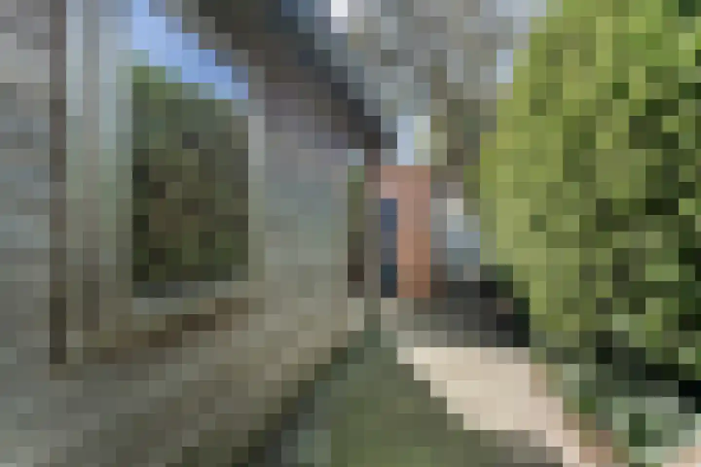 Noordweg 105 Zeist thumbnail 26