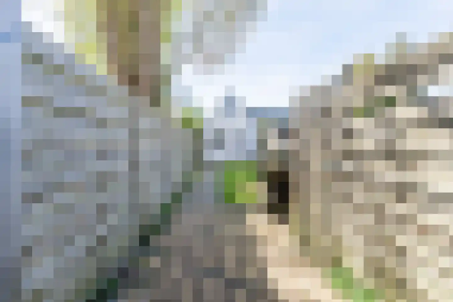 Noordweg 105 Zeist thumbnail 29