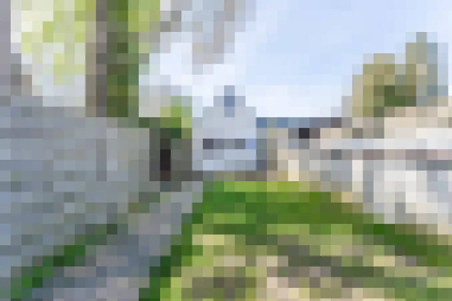 Noordweg 105 Zeist thumbnail 30