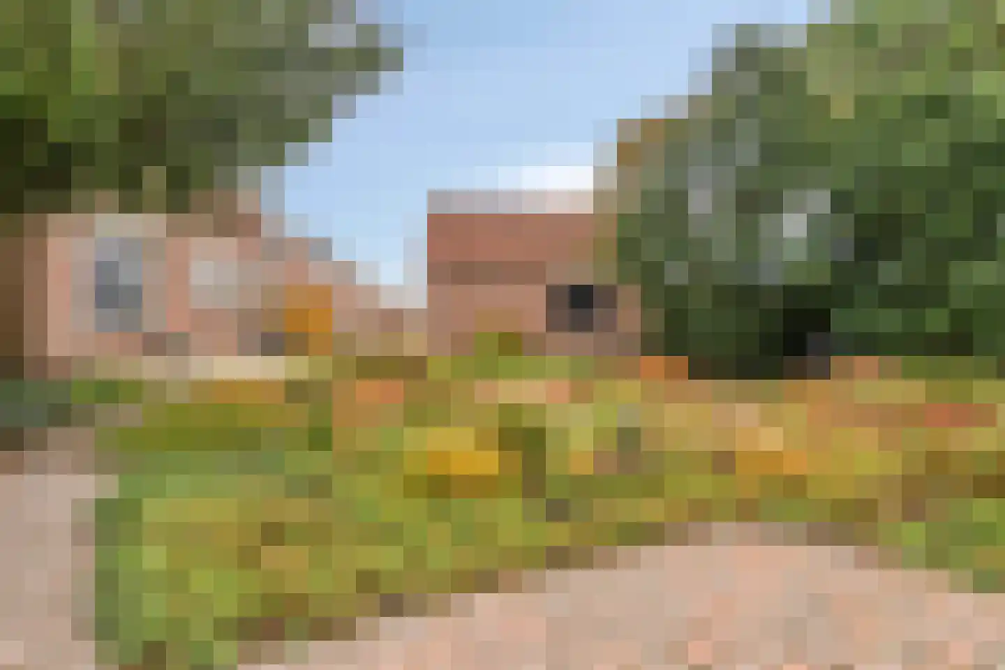 Noordweg 12 Serooskerke thumbnail 29