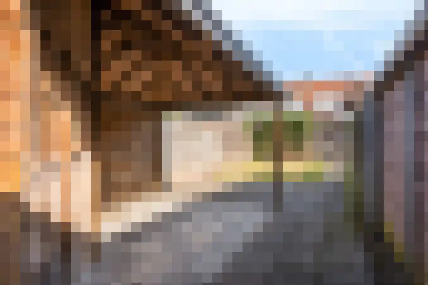 Noordweg 125 Zeist thumbnail 27