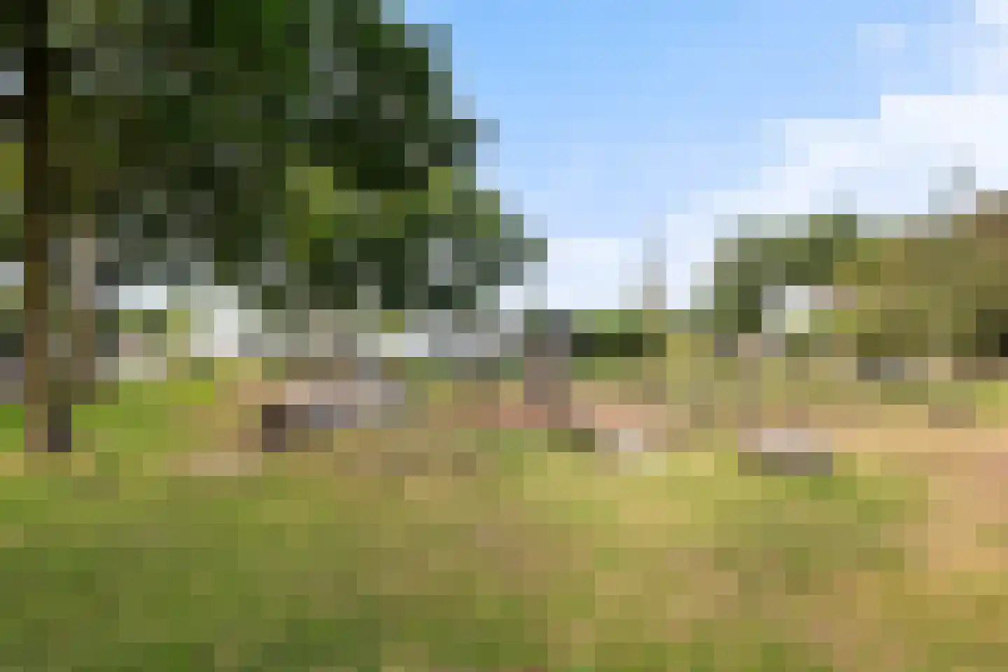 Noordweg 125 Zeist thumbnail 33