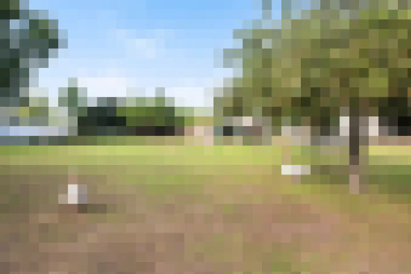 Noordweg 125 Zeist thumbnail 34