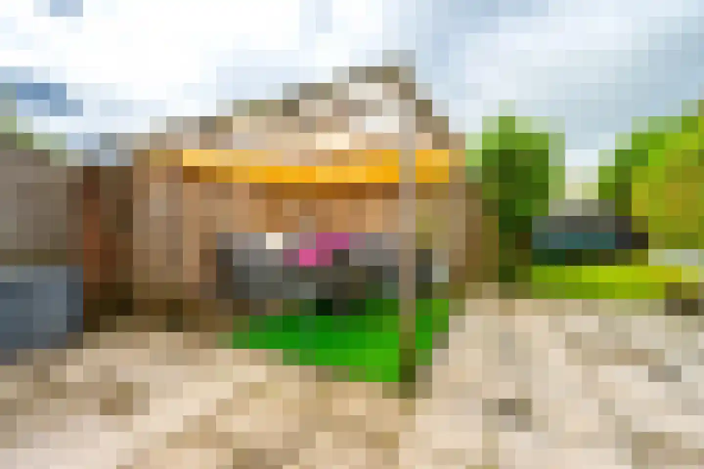 Noordweg 129 Zeist thumbnail 25