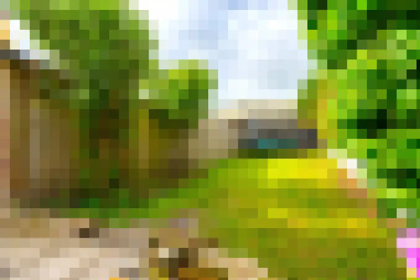 Noordweg 129 Zeist thumbnail 27