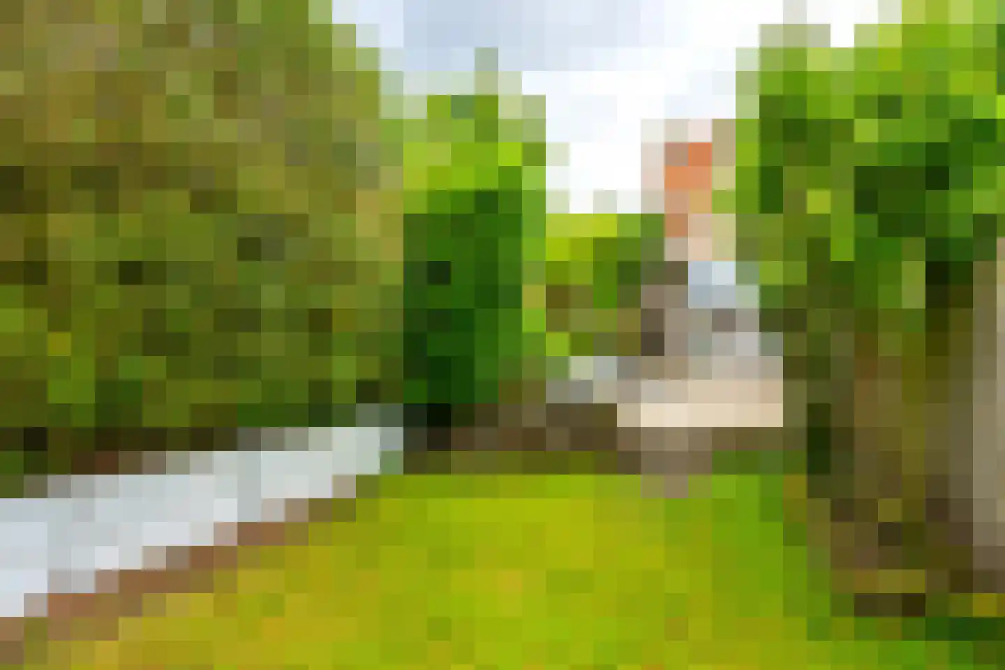 Noordweg 129 Zeist thumbnail 30